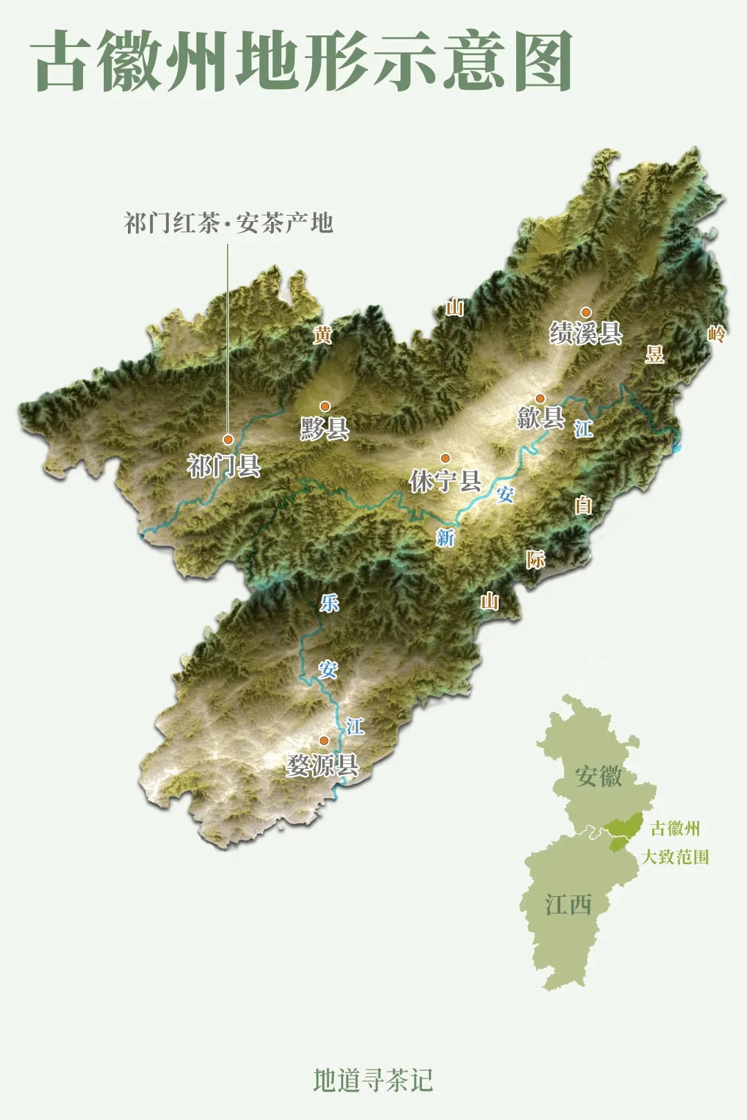 《繁花》中的上海人喝的都是什么茶？